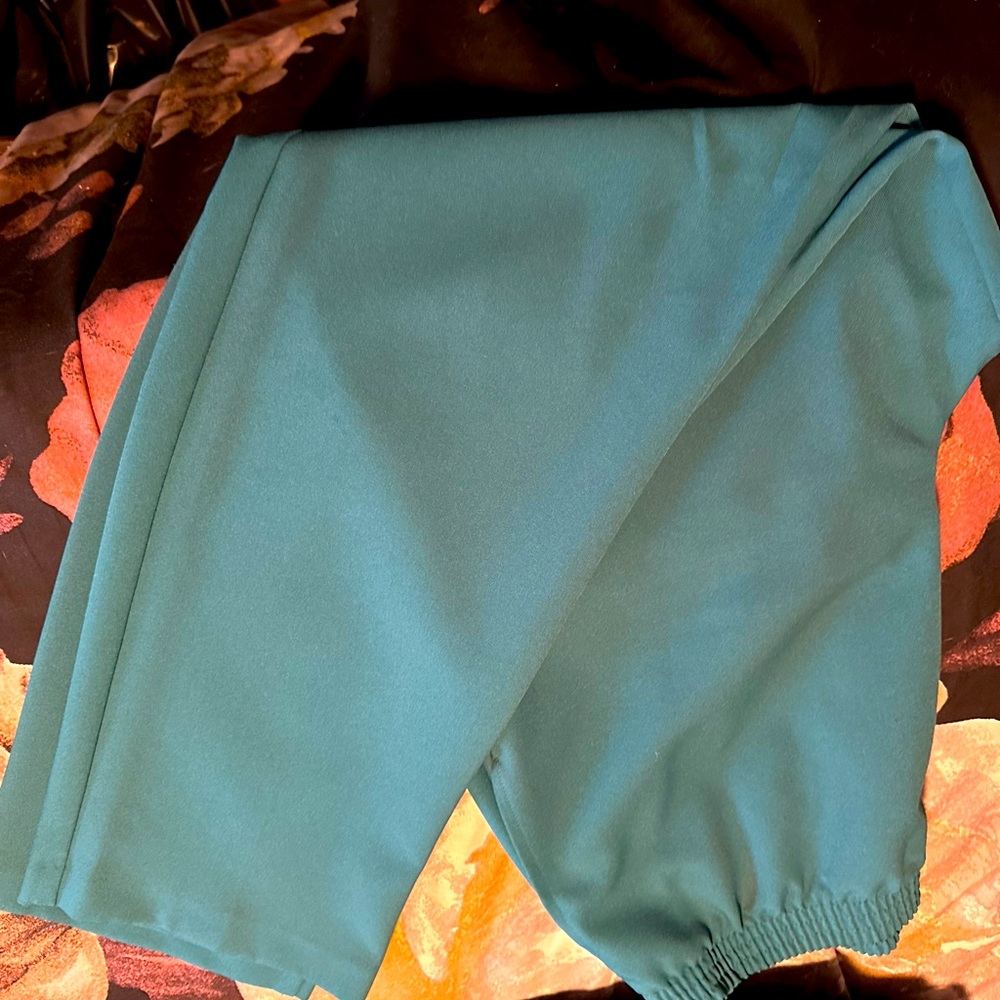 Dress pants